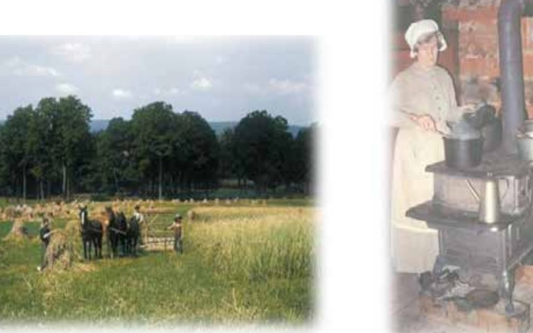 250 Years of Cookery in the Tablelands