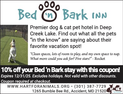 Bed N Bark