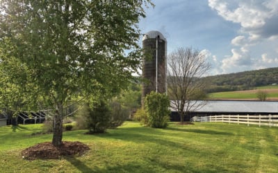 Branch Bender Cidery