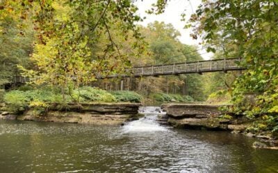 Explore Historic Pedestrian Suspension Bridges