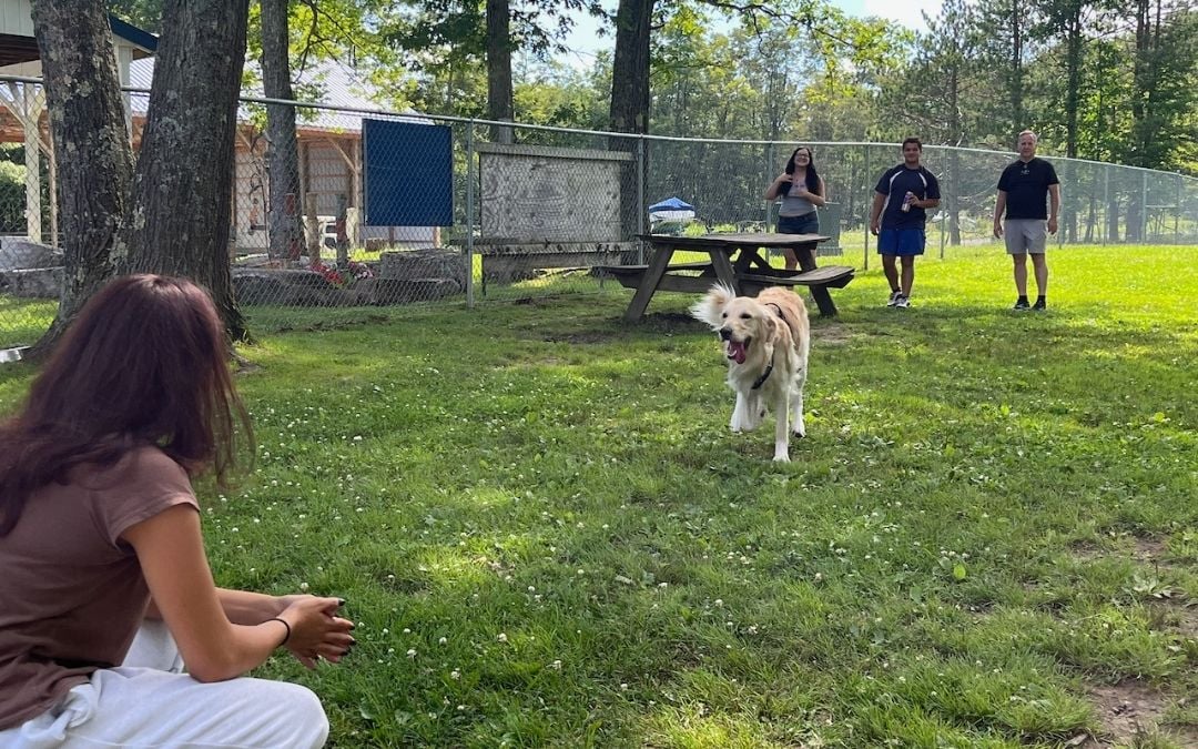 How Dogs Can Beat the Dog Days of Summer