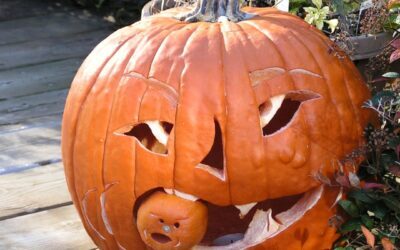 Jack O’Lanterns & Other Pumpkin Spice Stuff