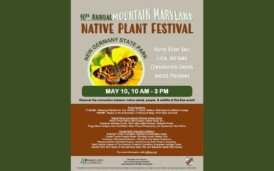 Mountain Maryland Native Plant Festival
