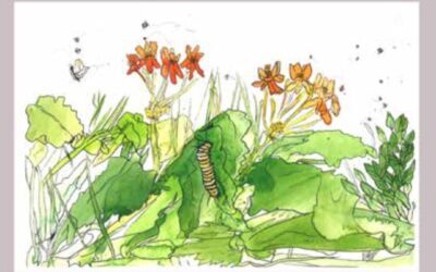 The Quiet Language of Creation